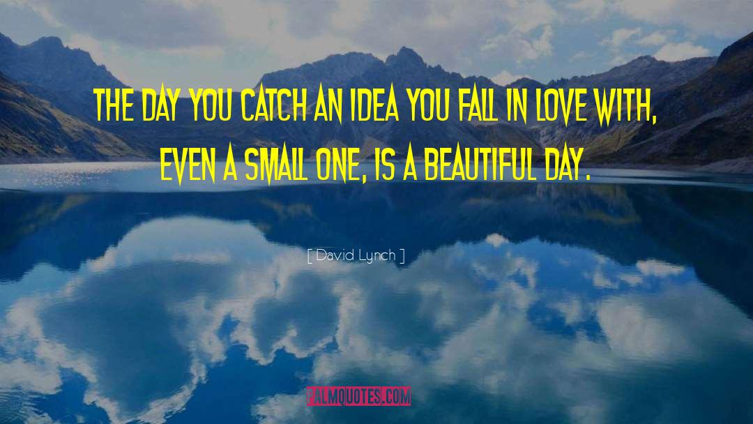 Beautiful Day quotes by David Lynch