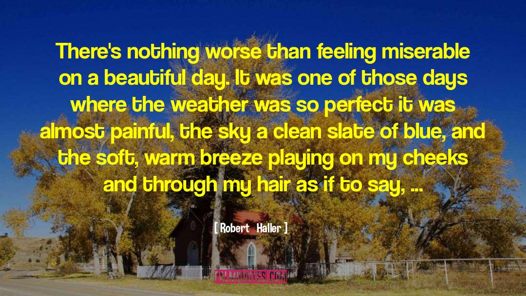 Beautiful Day quotes by Robert   Haller