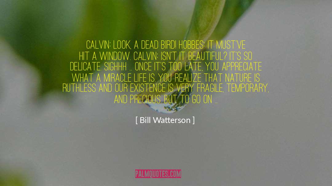 Beautiful Dead Series quotes by Bill Watterson