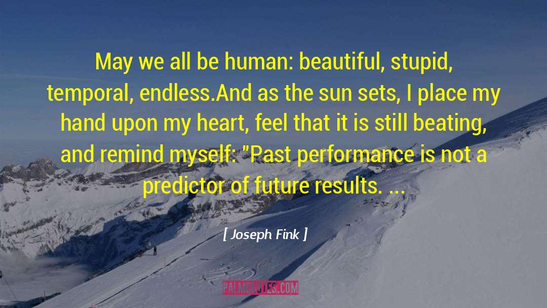 Beautiful Description quotes by Joseph Fink