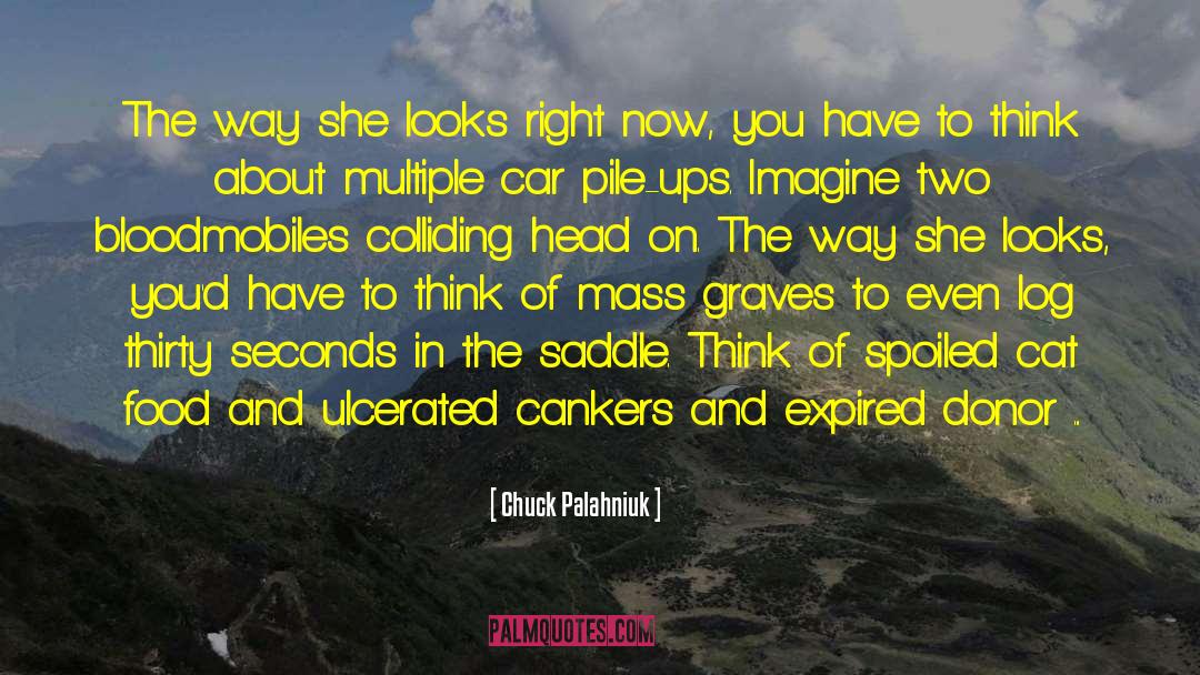 Beautiful Description quotes by Chuck Palahniuk