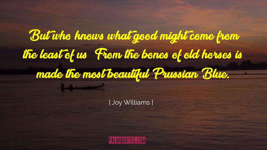 Beautiful Design quotes by Joy Williams