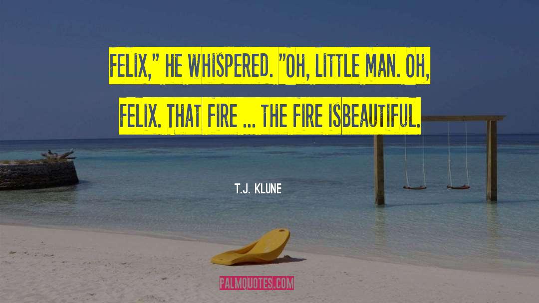 Beautiful Disaster quotes by T.J. Klune