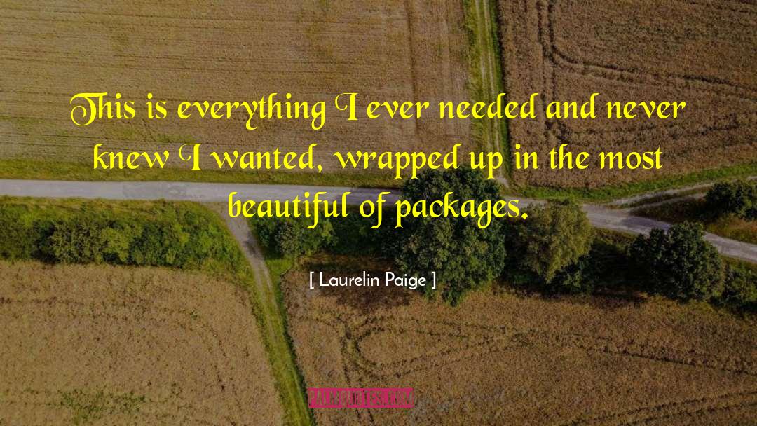 Beautiful Disaster quotes by Laurelin Paige
