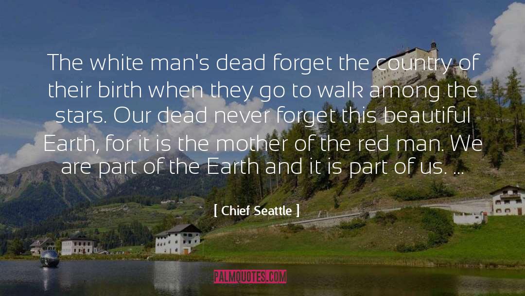 Beautiful Earth quotes by Chief Seattle