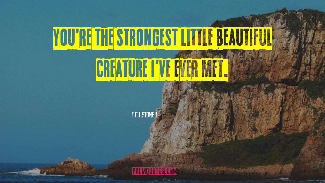 Beautiful Expression quotes by C.L.Stone