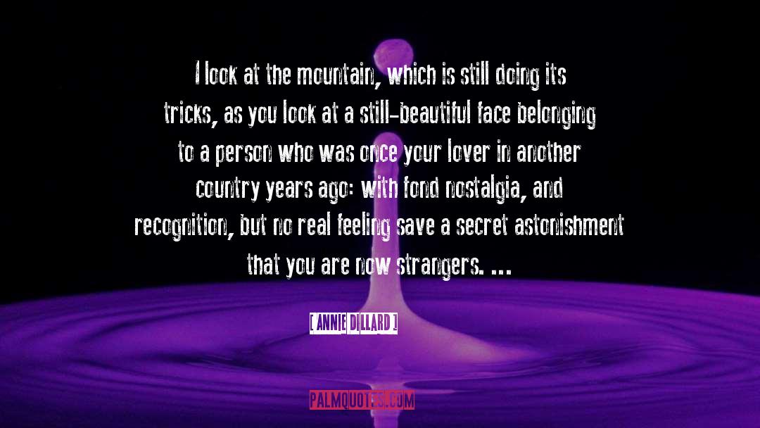 Beautiful Face quotes by Annie Dillard