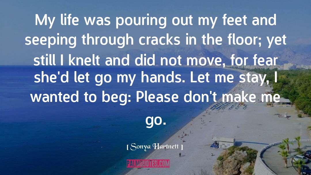 Beautiful Feet quotes by Sonya Hartnett