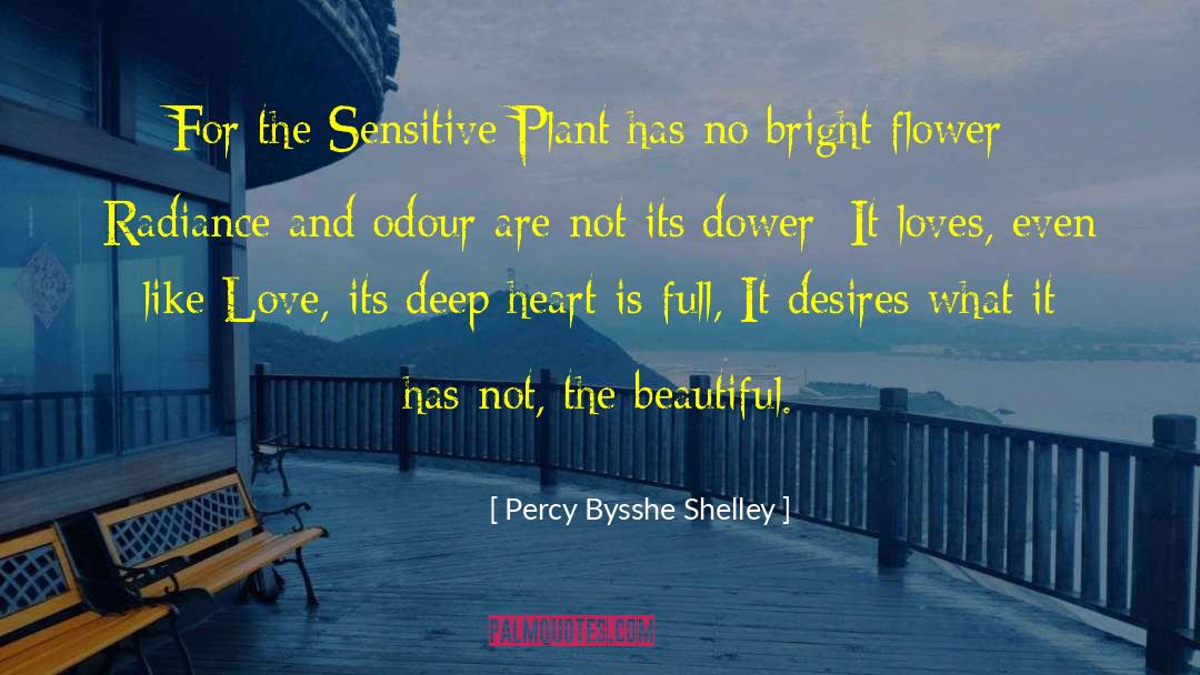 Beautiful Flower quotes by Percy Bysshe Shelley
