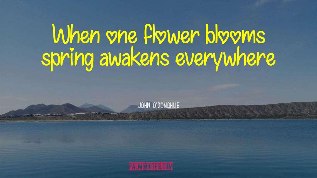 Beautiful Flower quotes by John O'Donohue