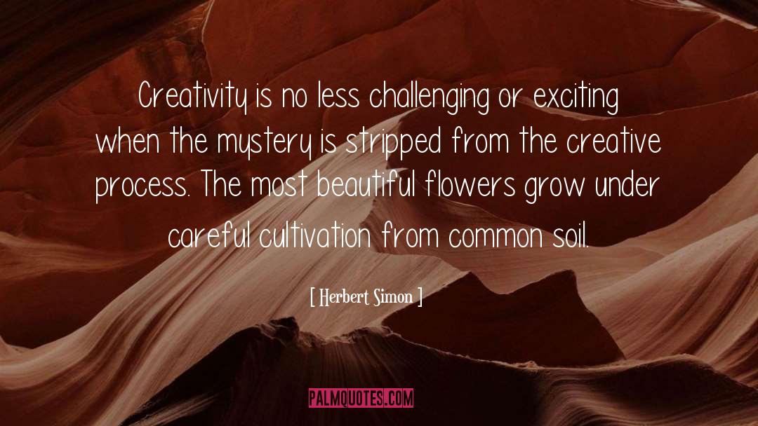Beautiful Flowers quotes by Herbert Simon