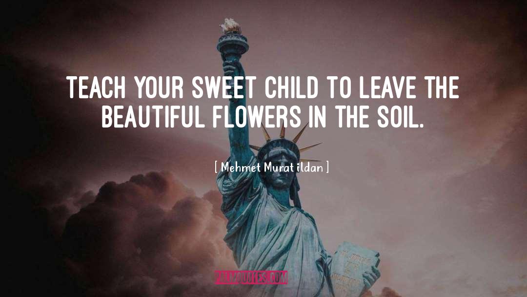 Beautiful Flowers quotes by Mehmet Murat Ildan