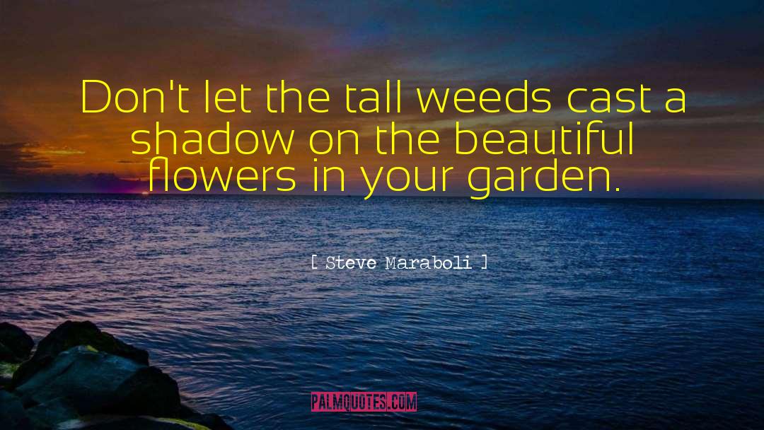 Beautiful Flowers quotes by Steve Maraboli