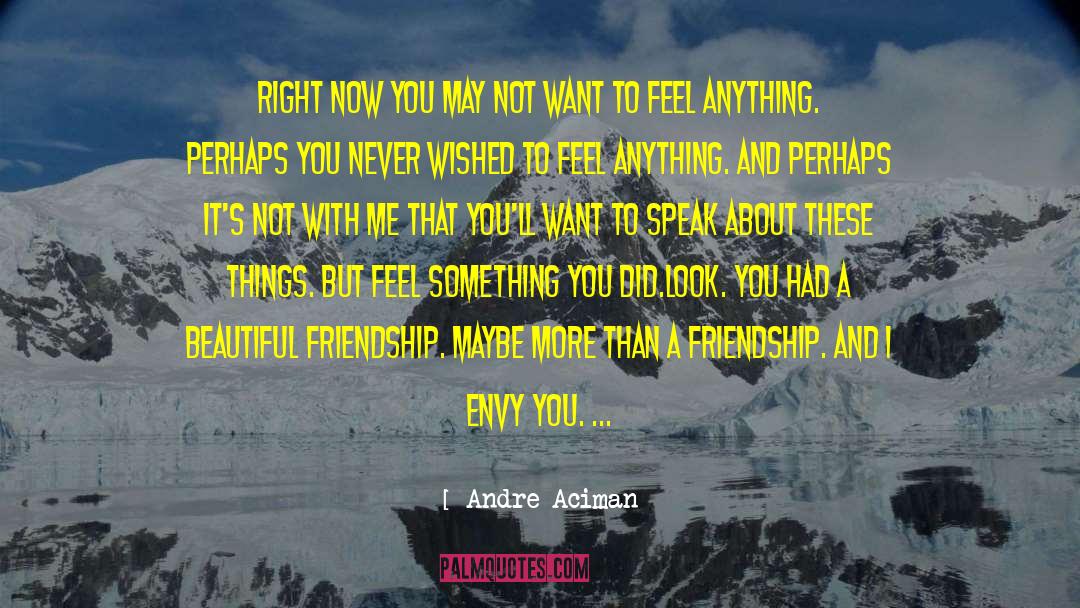 Beautiful Friendship quotes by Andre Aciman