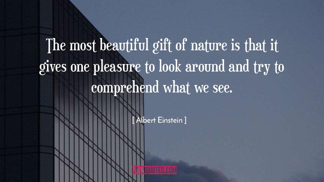 Beautiful Gift quotes by Albert Einstein