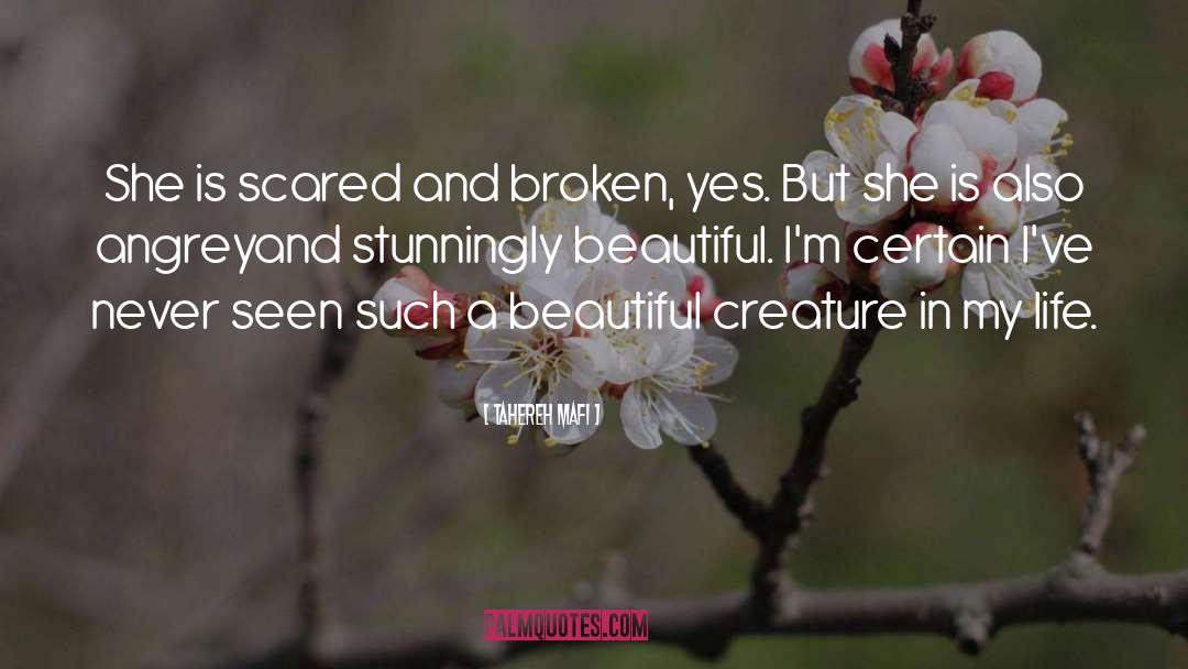 Beautiful Guy quotes by Tahereh Mafi