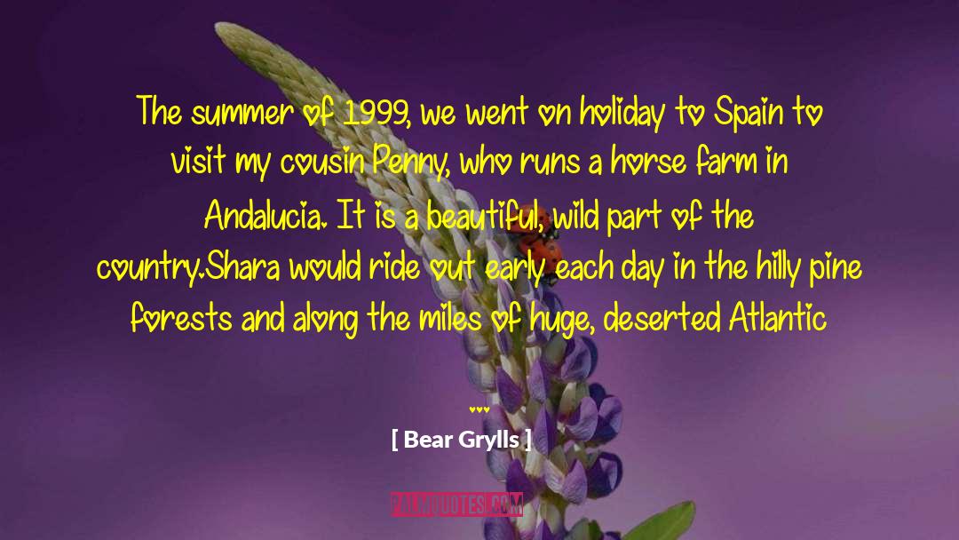 Beautiful Holiday quotes by Bear Grylls