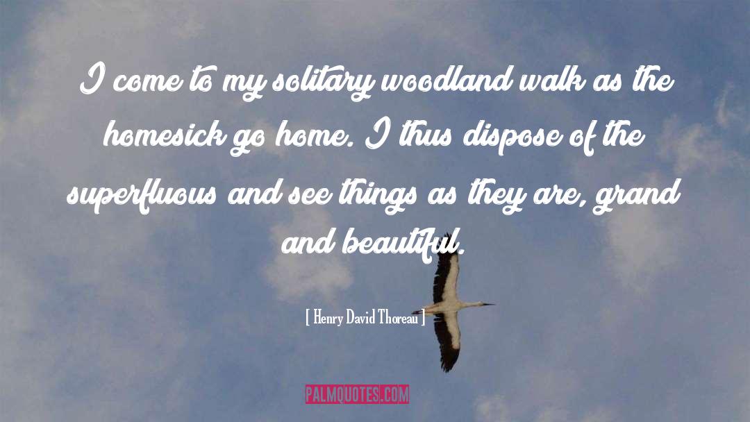 Beautiful Home quotes by Henry David Thoreau