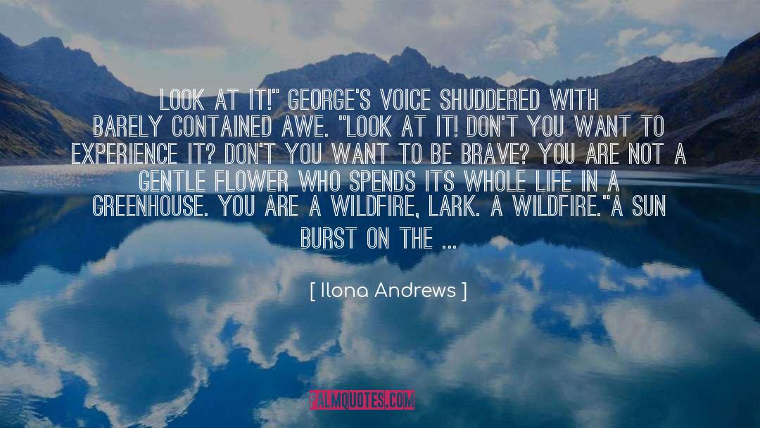 Beautiful Images Of Life With quotes by Ilona Andrews