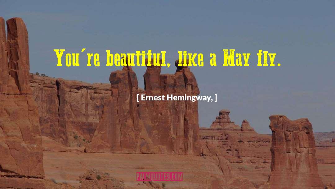 Beautiful Imagination quotes by Ernest Hemingway,