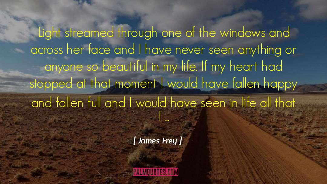 Beautiful In quotes by James Frey