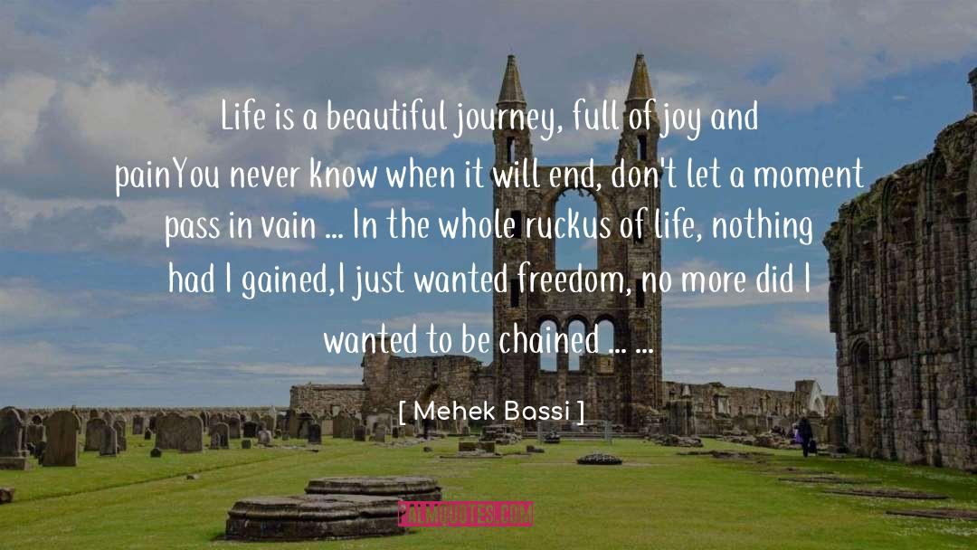 Beautiful Journey quotes by Mehek Bassi