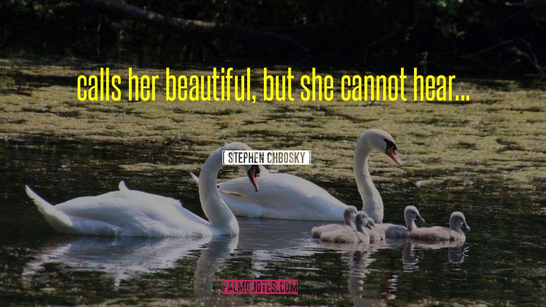 Beautiful Journey quotes by Stephen Chbosky