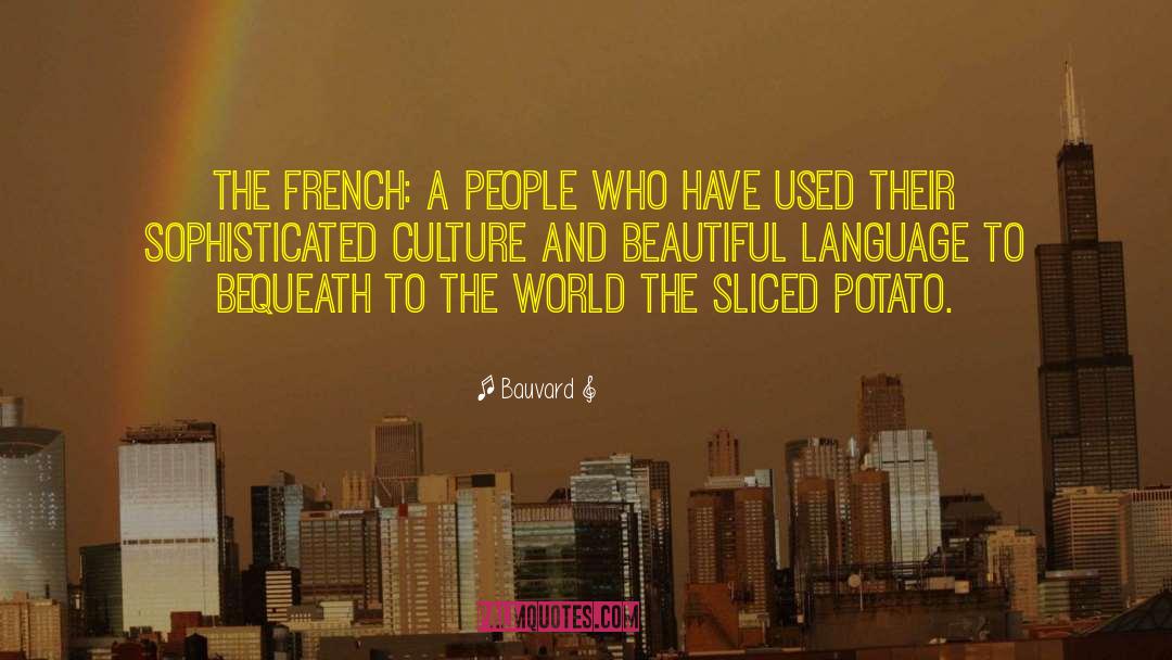 Beautiful Language quotes by Bauvard