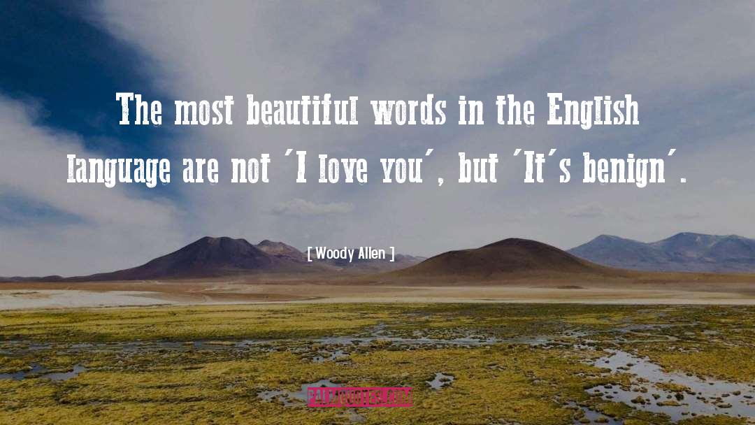 Beautiful Language quotes by Woody Allen