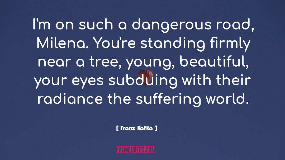 Beautiful Language quotes by Franz Kafka