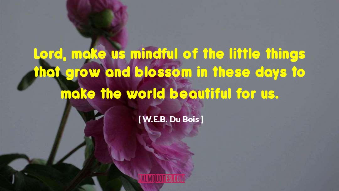 Beautiful Language quotes by W.E.B. Du Bois