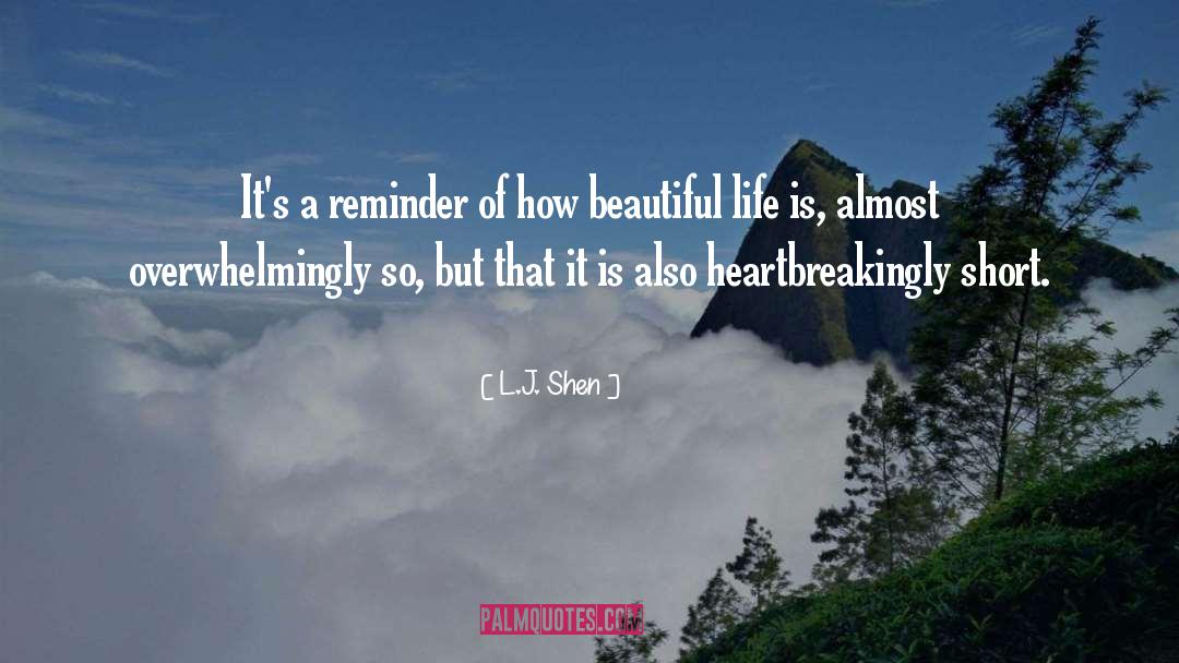 Beautiful Life quotes by L.J. Shen