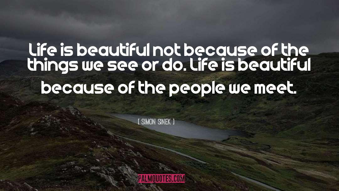 Beautiful Life quotes by Simon Sinek