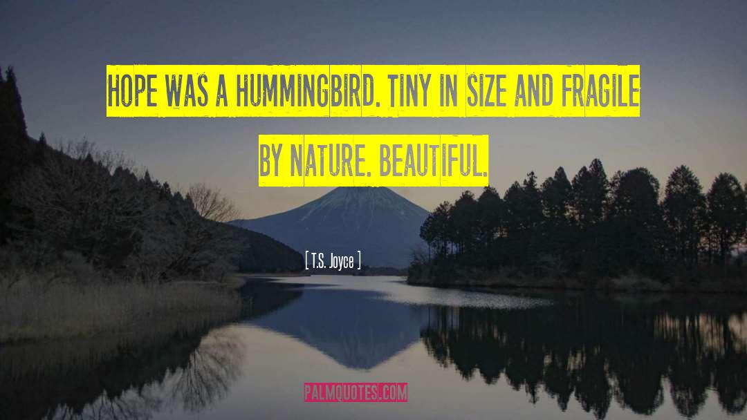 Beautiful Light quotes by T.S. Joyce