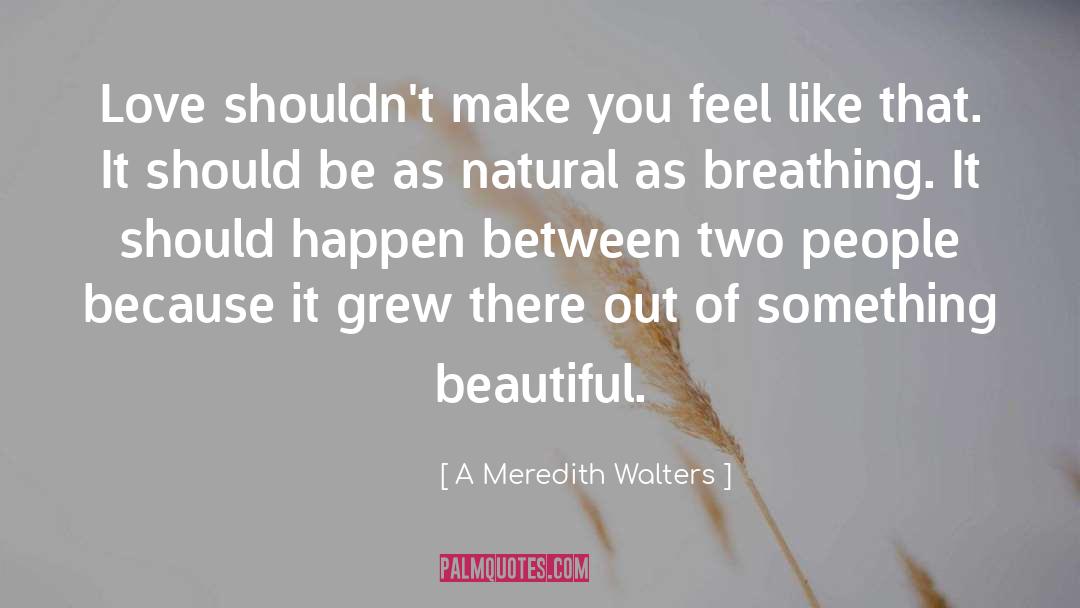 Beautiful Love quotes by A Meredith Walters