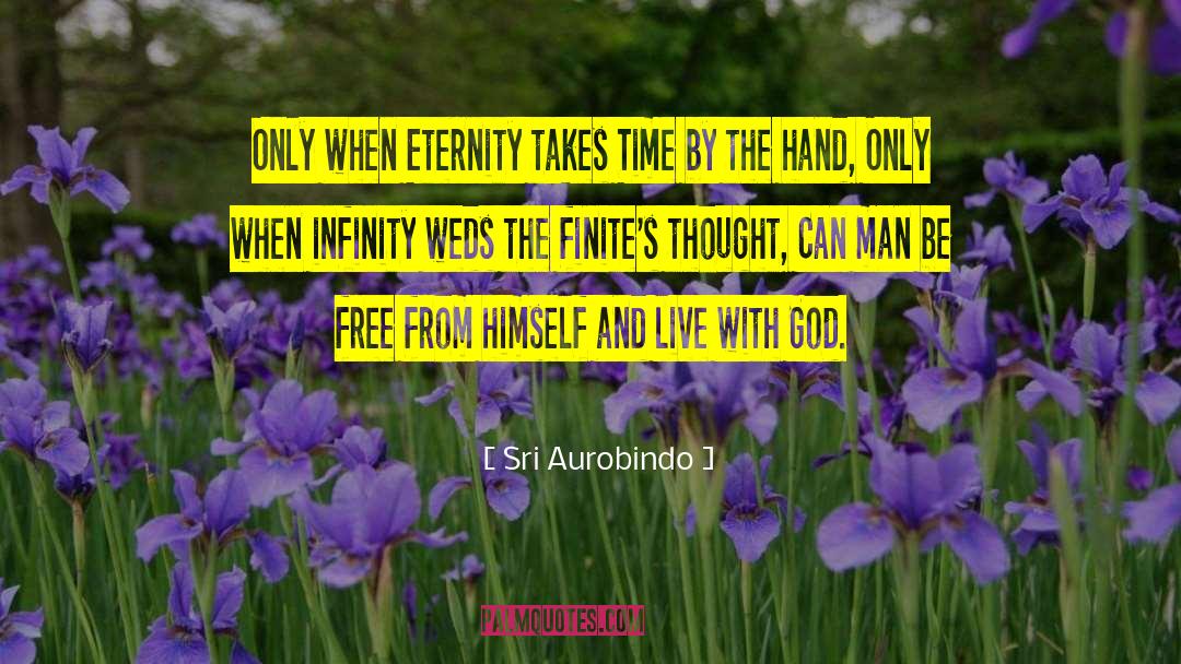 Beautiful Man quotes by Sri Aurobindo