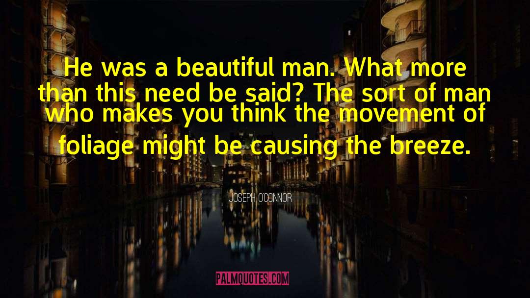 Beautiful Man quotes by Joseph O'Connor