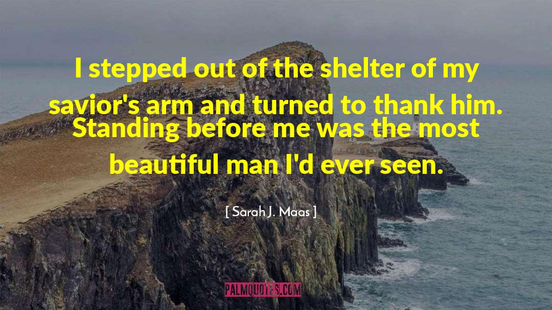 Beautiful Man quotes by Sarah J. Maas