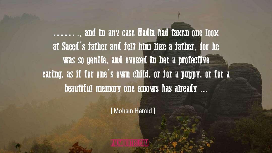 Beautiful Memory quotes by Mohsin Hamid