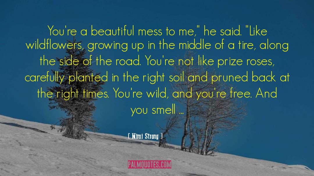 Beautiful Mess quotes by Mimi Strong