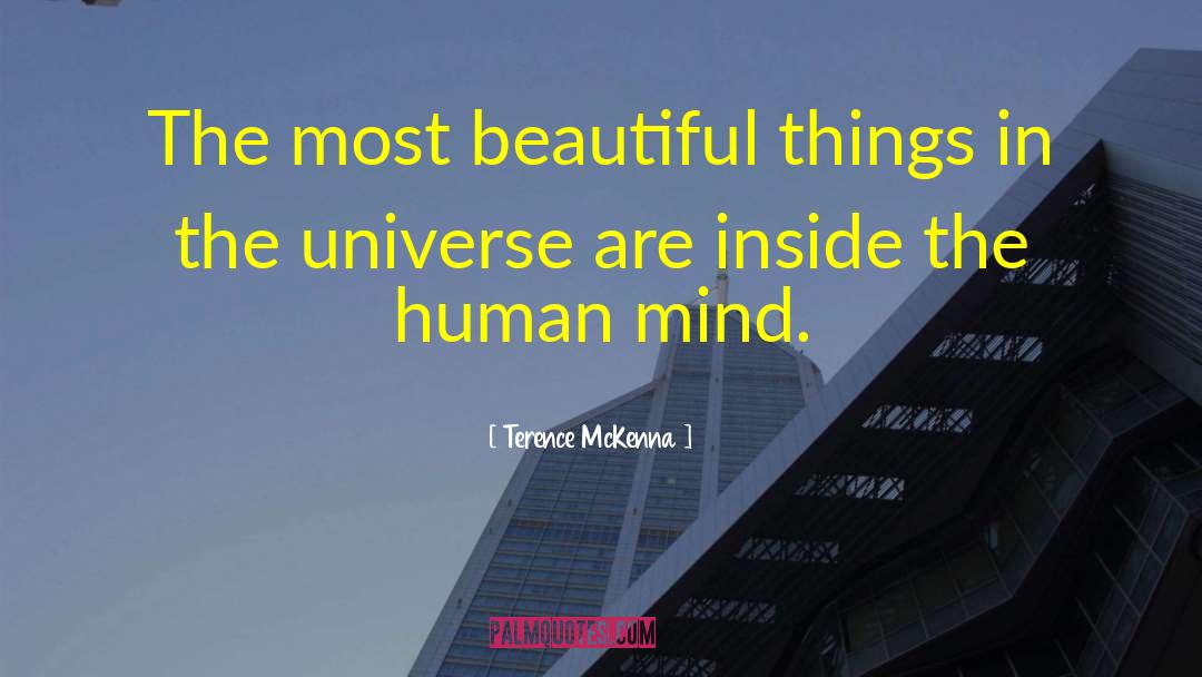 Beautiful Mind quotes by Terence McKenna