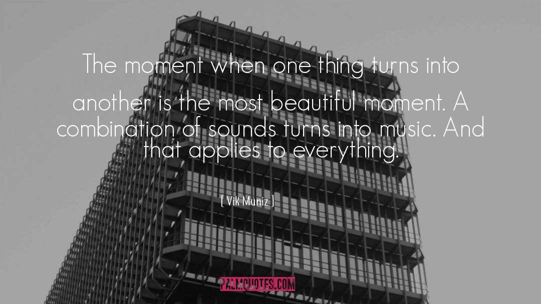 Beautiful Moment quotes by Vik Muniz