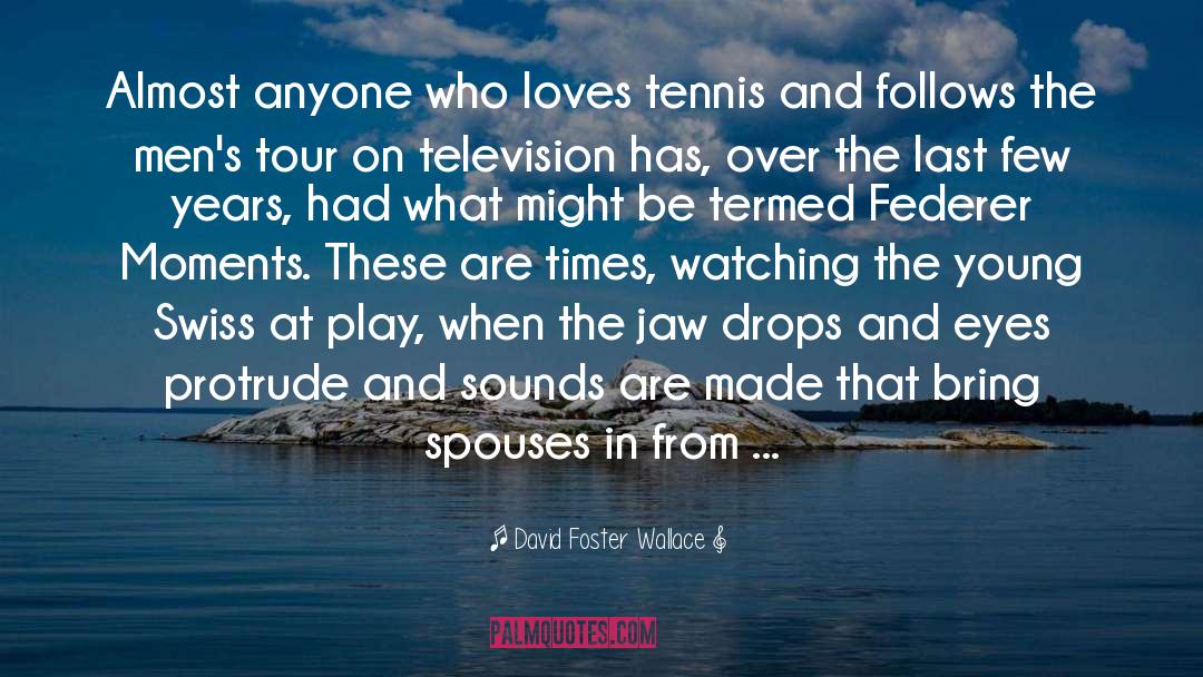 Beautiful Moments quotes by David Foster Wallace