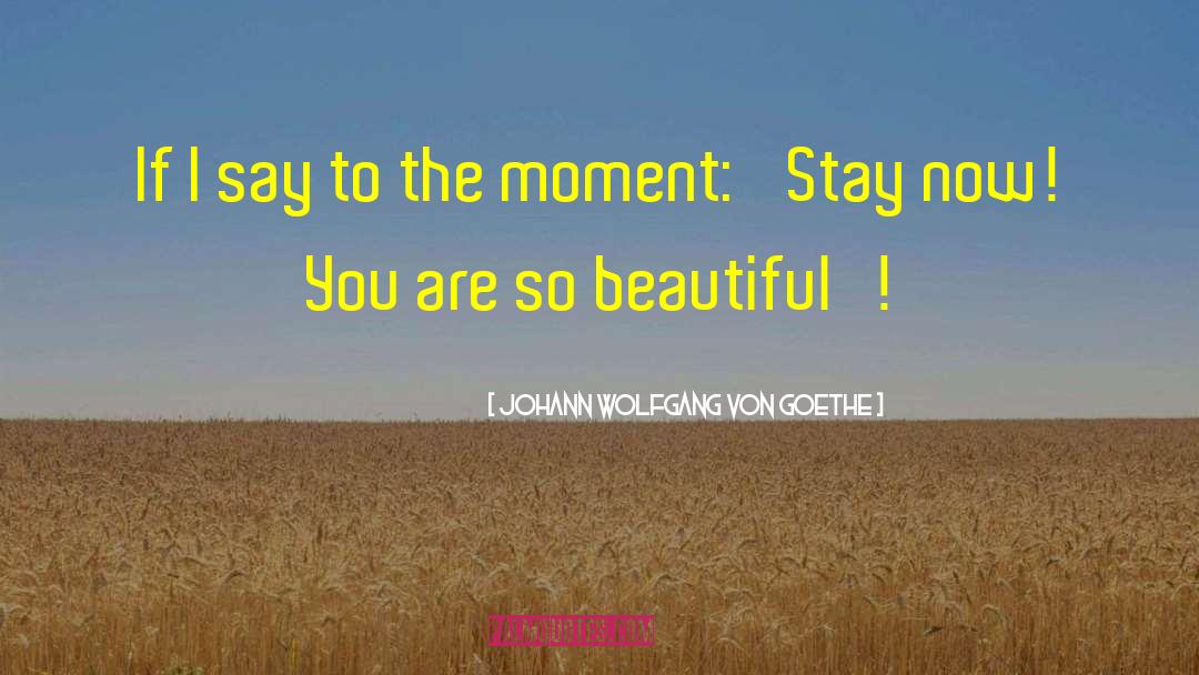 Beautiful Moments quotes by Johann Wolfgang Von Goethe