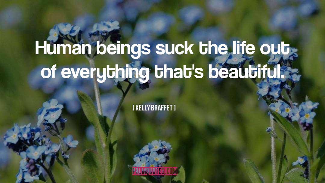 Beautiful Objects quotes by Kelly Braffet