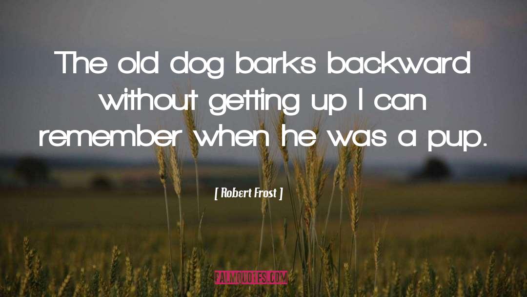 Beautiful Old Dog quotes by Robert Frost