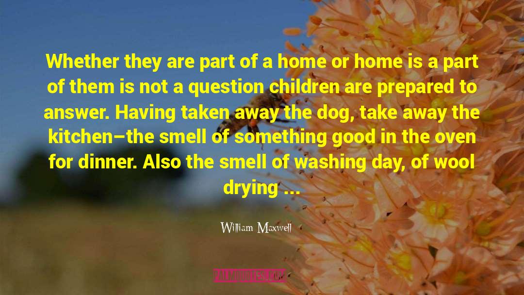 Beautiful Old Dog quotes by William Maxwell