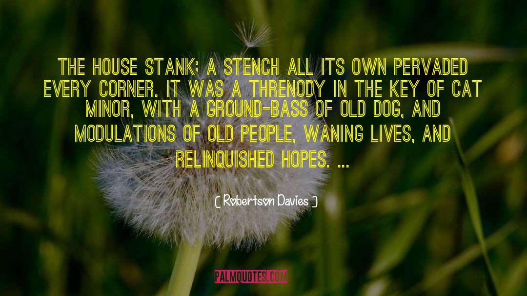 Beautiful Old Dog quotes by Robertson Davies