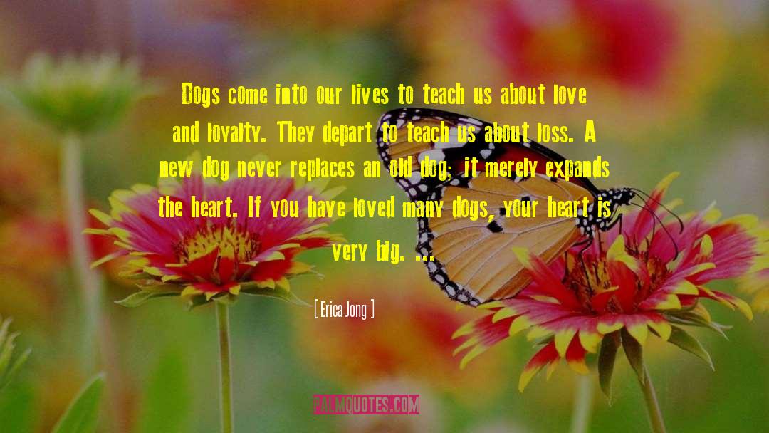 Beautiful Old Dog quotes by Erica Jong
