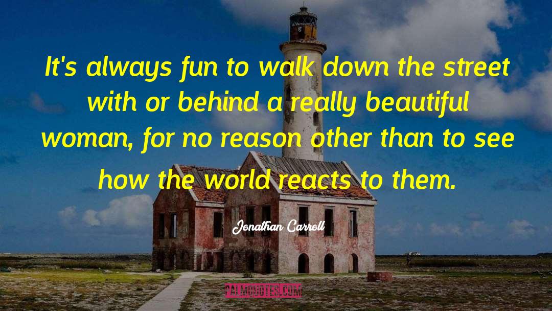 Beautiful Places quotes by Jonathan Carroll